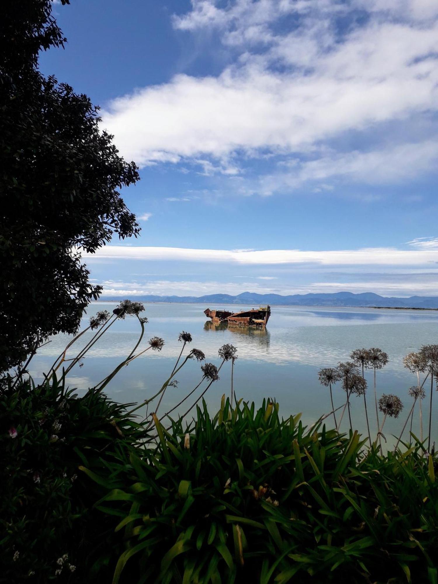 Haven On Glenaven B&B Motueka Dış mekan fotoğraf
